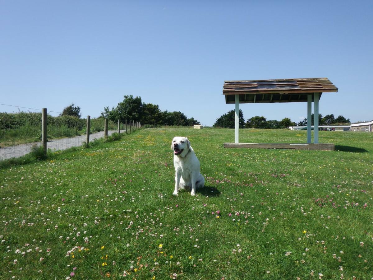 Willa Crows Nest Sandown Zewnętrze zdjęcie